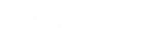 AMD logo in white – TRIA partner